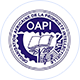 OAPI图标